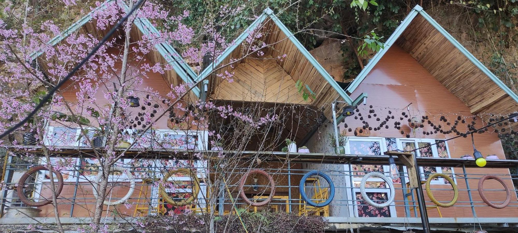 Homestay Gau Smile - Moc Chau Son La Luaran gambar